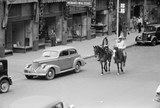 Horses walkinjg down the streets of Billings Montana with cars in the backround.