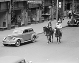 Horses In The Street