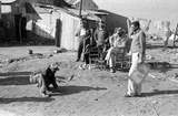 5 men playing marbles with rules similar to golf.
