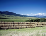 round hay bales stacked up in a green pasture near the mountains