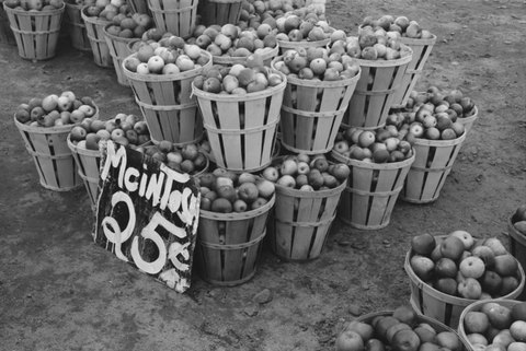 Bushels of Mcintosh apples. The sign says 25 cents but doesn't mention if that is per bushel or pound.