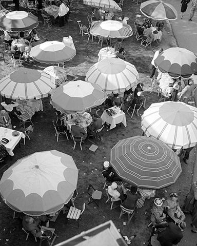 outdoor scene from above looking down on umbrellas at a cafe
